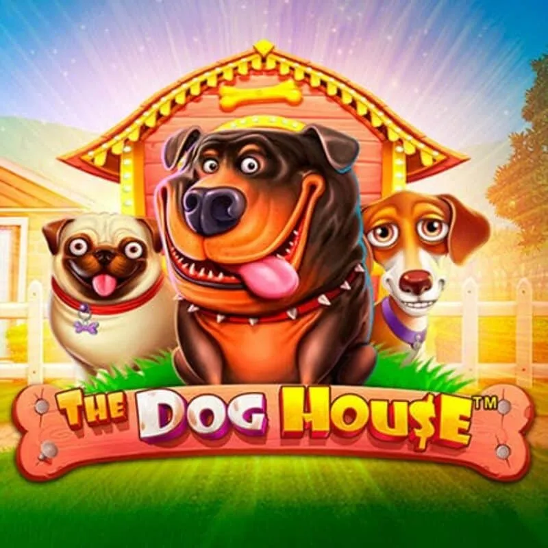 LuckyFox Casino — Dog House